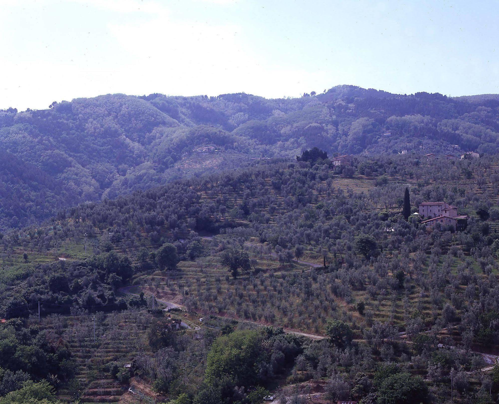 Bed and Breakfast Antica Casa "Le Rondini" Borgo a Buggiano Exterior foto